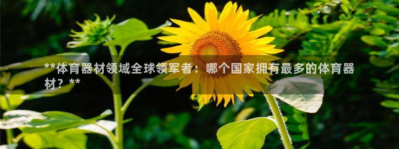 尊龙官网/首选kpm