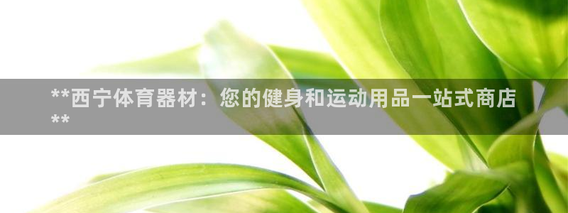 凯时网址多少