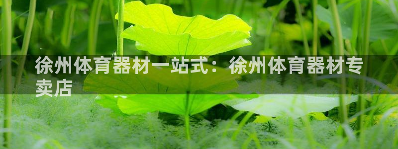 凯时网上官方网站