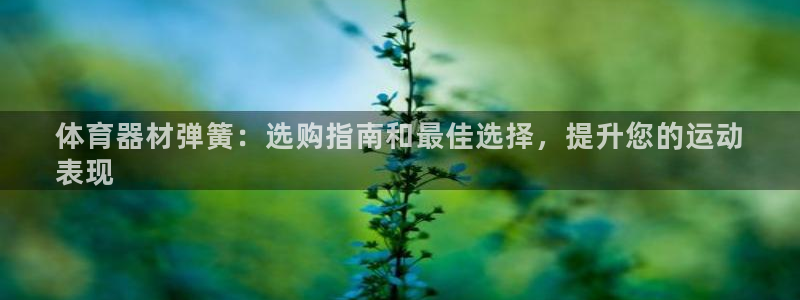 尊龙凯时和九游会哪个平台好一点