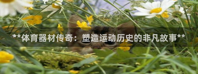 agz6尊龙凯时集团