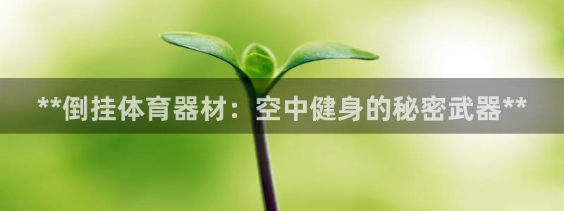 z6尊龙z6