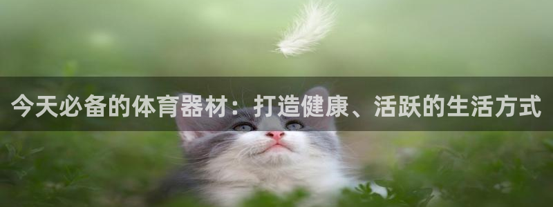 尊龙凯时法拉币