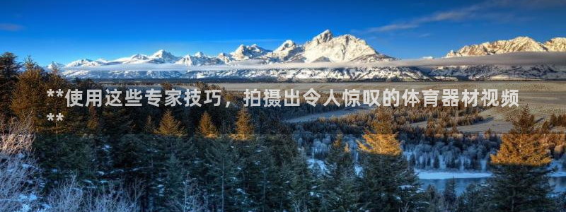 尊龙物流怎么样