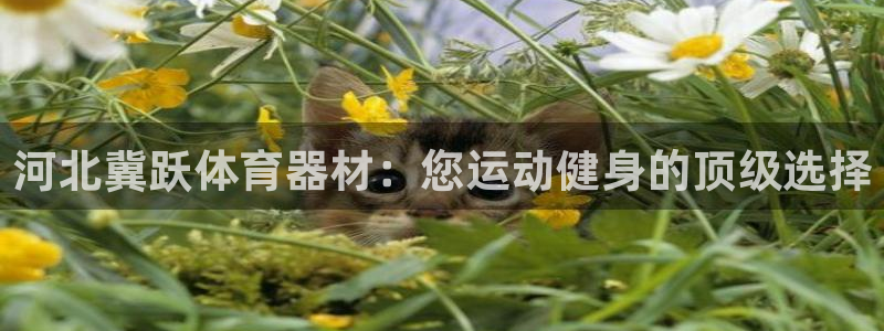 尊龙游戏官网