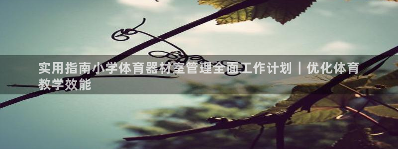 尊龙凯时平台入口