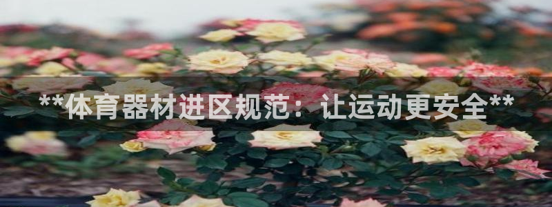 尊龙手机官方客户端下载安卓