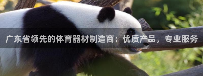 尊龙凯时网站不让提款