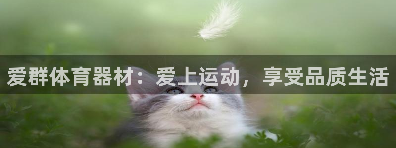 尊龙z6集团