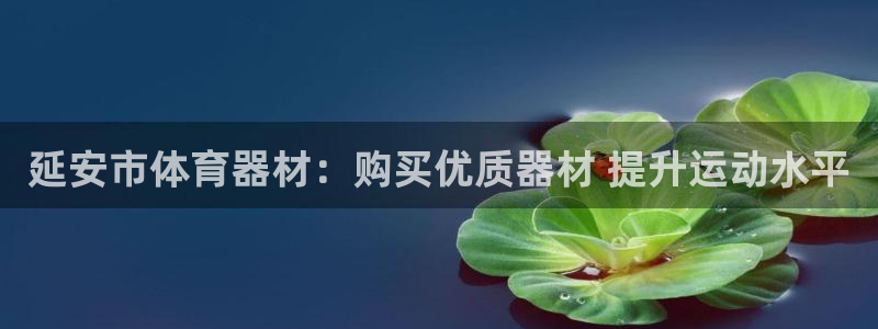 凯时a88