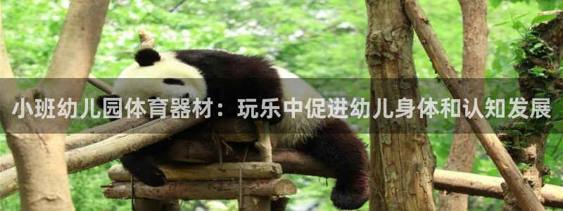 尊龙官方网站