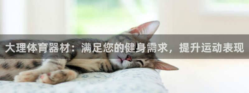 尊龙凯时企业文化