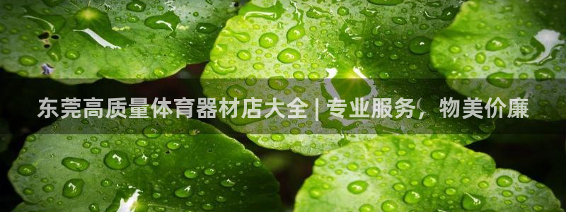 尊龙凯时下载官方正版