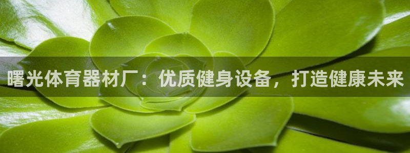 尊龙光学怎么样