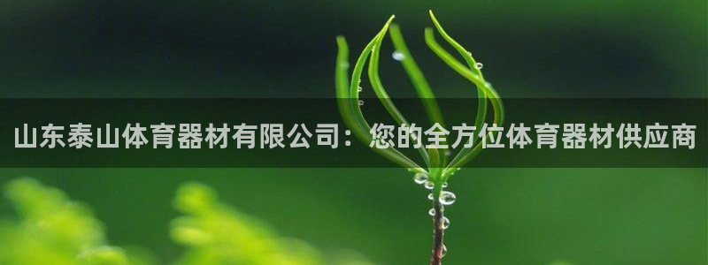 尊龙凯时平台官网