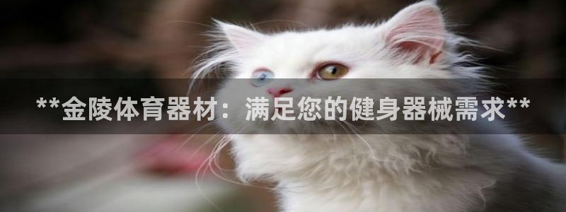 尊龙凯时ag旗舰厅试玩