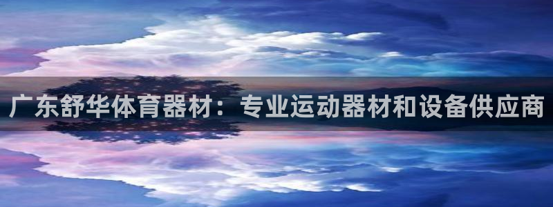 尊龙t600