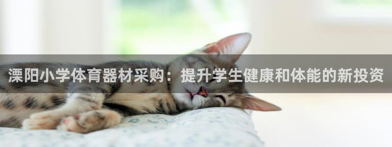 尊龙现金一下指导AG发财网