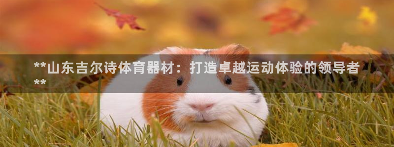 尊龙目前情况