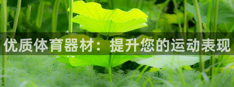 尊龙中国