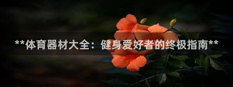尊龙凯时代理官网入口