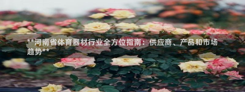 尊龙网站手机下载