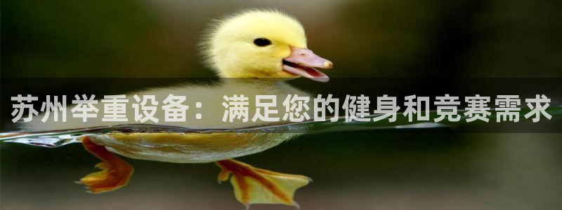 尊龙凯时取款一直支付中