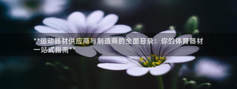尊龙人生就是博旗舰厅