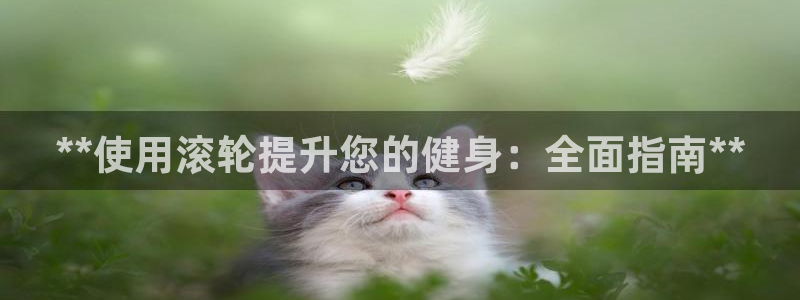 z6尊龙凯时ag旗舰厅