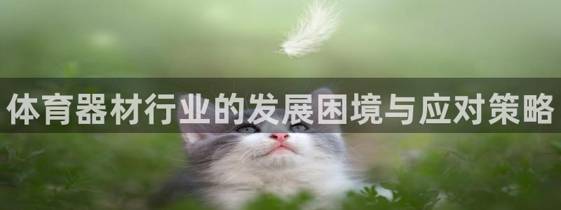 ZL尊龙凯时集团