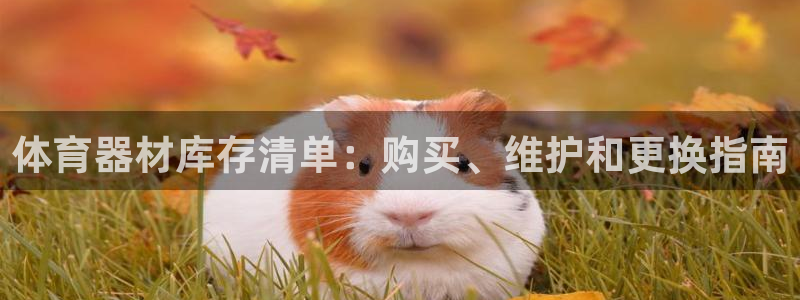 尊龙凯时ag旗舰