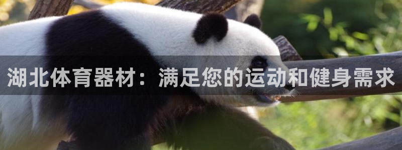 尊龙凯时法拉币