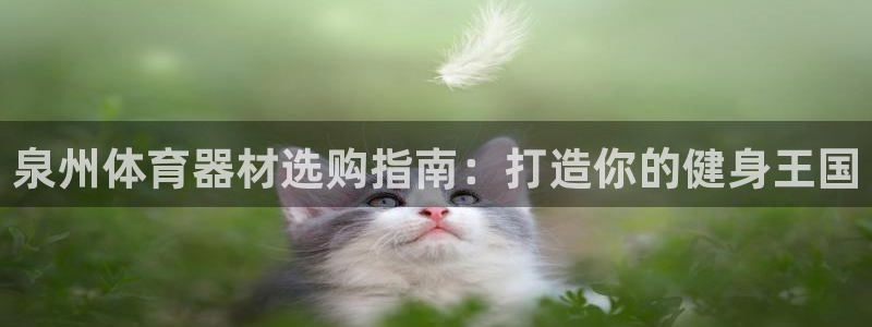 尊龙人生就是博手机版下载