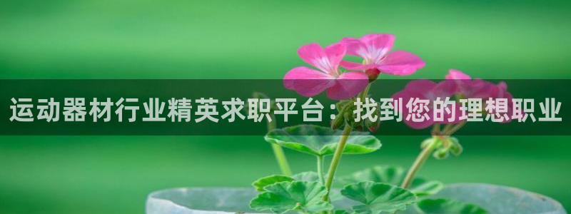 尊龙凯时能做退米么