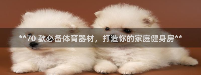 尊龙集团有限公司是国企吗