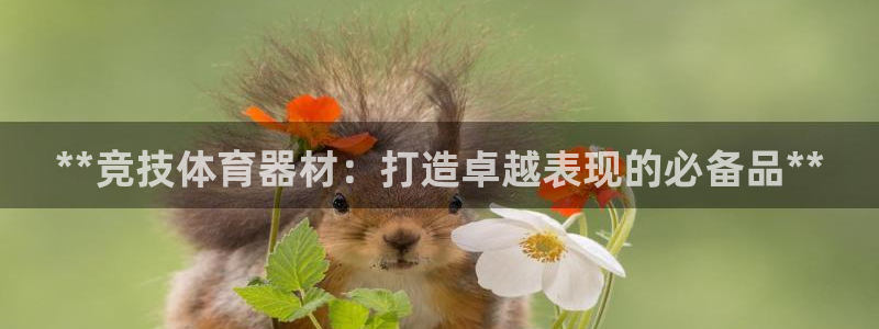 凯时国际app登录