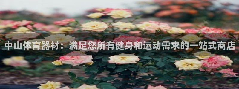 尊龙凯时取款24小时不到账：中山体育器材：满足您所有健身和运
