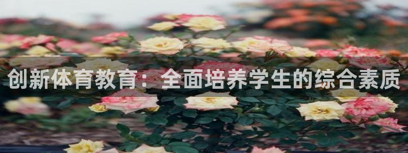 凯时kb88官网网址