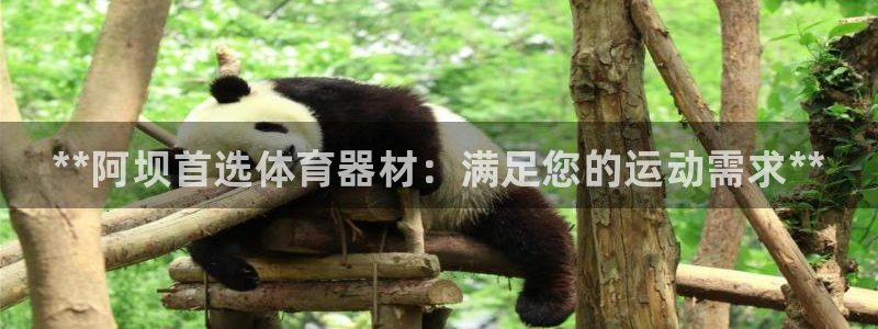 尊龙凯时平台正规吗