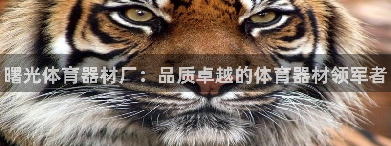 尊龙凯时登陆网址