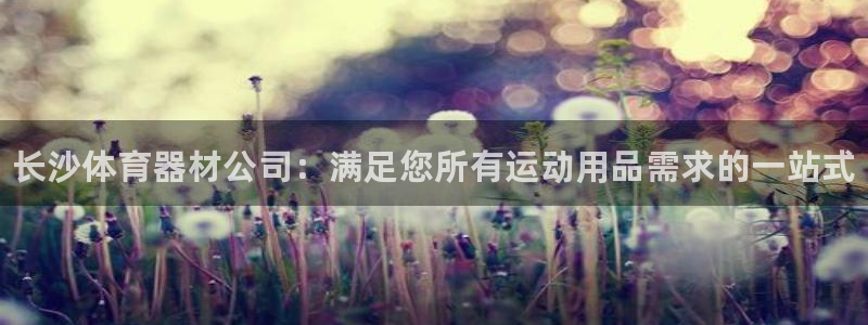 国际凯时ag优质运营商