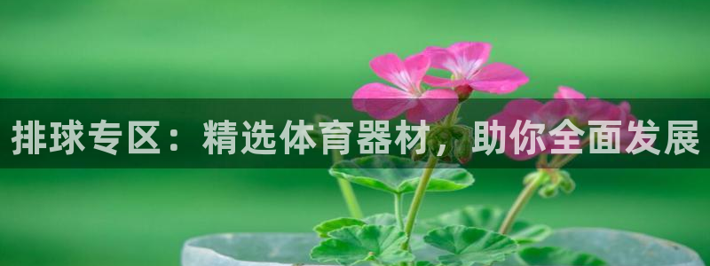 尊龙人生手机版