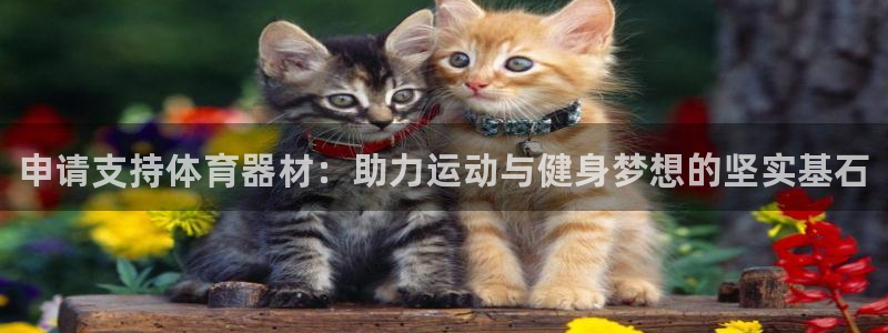 尊龙凯时是正规平台吗