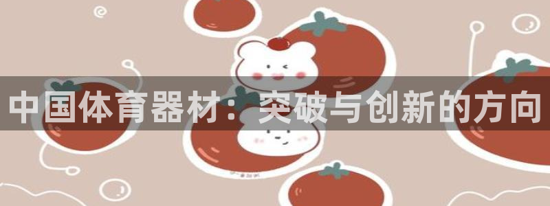 尊龙t600：中国体育器材：突破与创新的方向