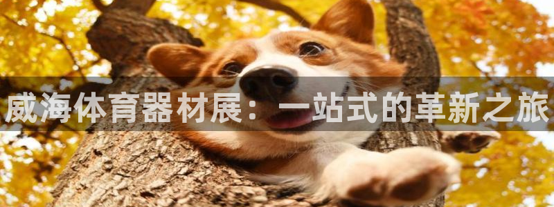 凯时kb88公司简介