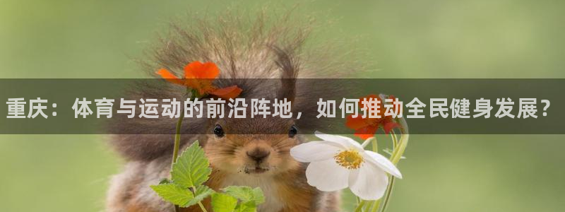尊龙凯时能不能提现?：重庆：体育与运动的前沿阵地，如何推动全