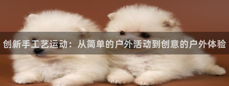 尊龙凯时一人生就是博登入：创新手工艺运动：从简单的户外活动到