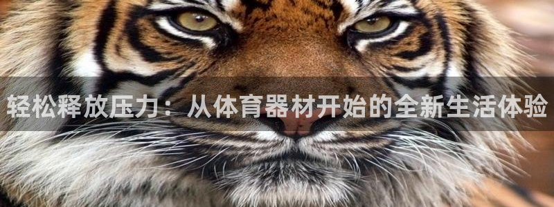 尊龙凯时人生就是博·(中国)官网官