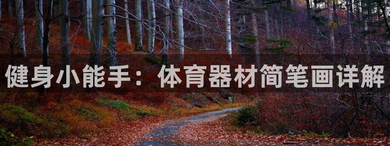 kb88凯时SO权威AG发财网：健身小能手：体育器材简笔画详